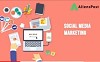 Social media marketing for business growth by Alienspost