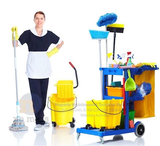 Get Professional cleaning services in Brisbane