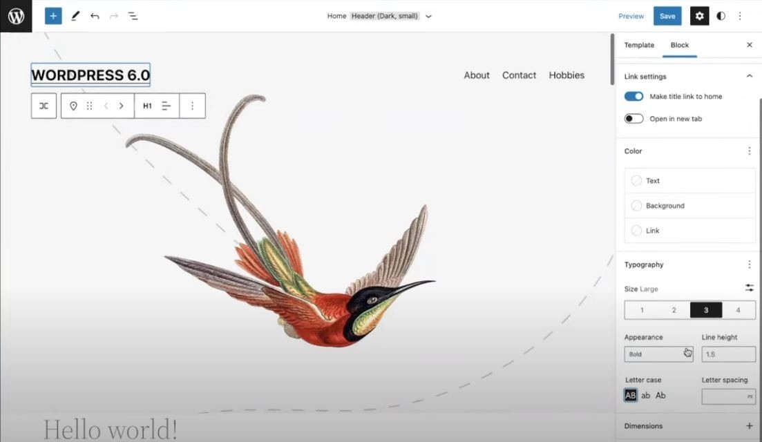 Best Freelance Web Developer Dubai & Designer Service In UAE