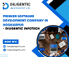 Premier Software Development Company in Hoshiarpur - Diligentic Infotech
