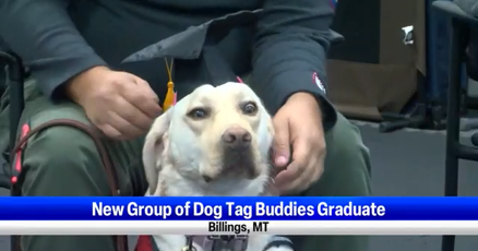 Veterans in Montana graduate with service dogs from Dog Tag Buddies