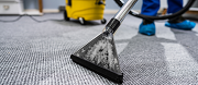 Why You Should Consider Professional Carpet Cleaning: Compelling Reasons