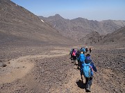 The Best Hiking Trails in Morocco 