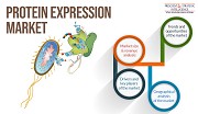 Increasing Pharmaceutical Application of Protein Expression 