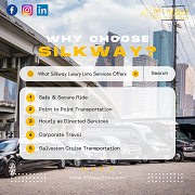 Exploring the City with a Deluxe Limo Service in Houston | Silkway Luxury Limo Services