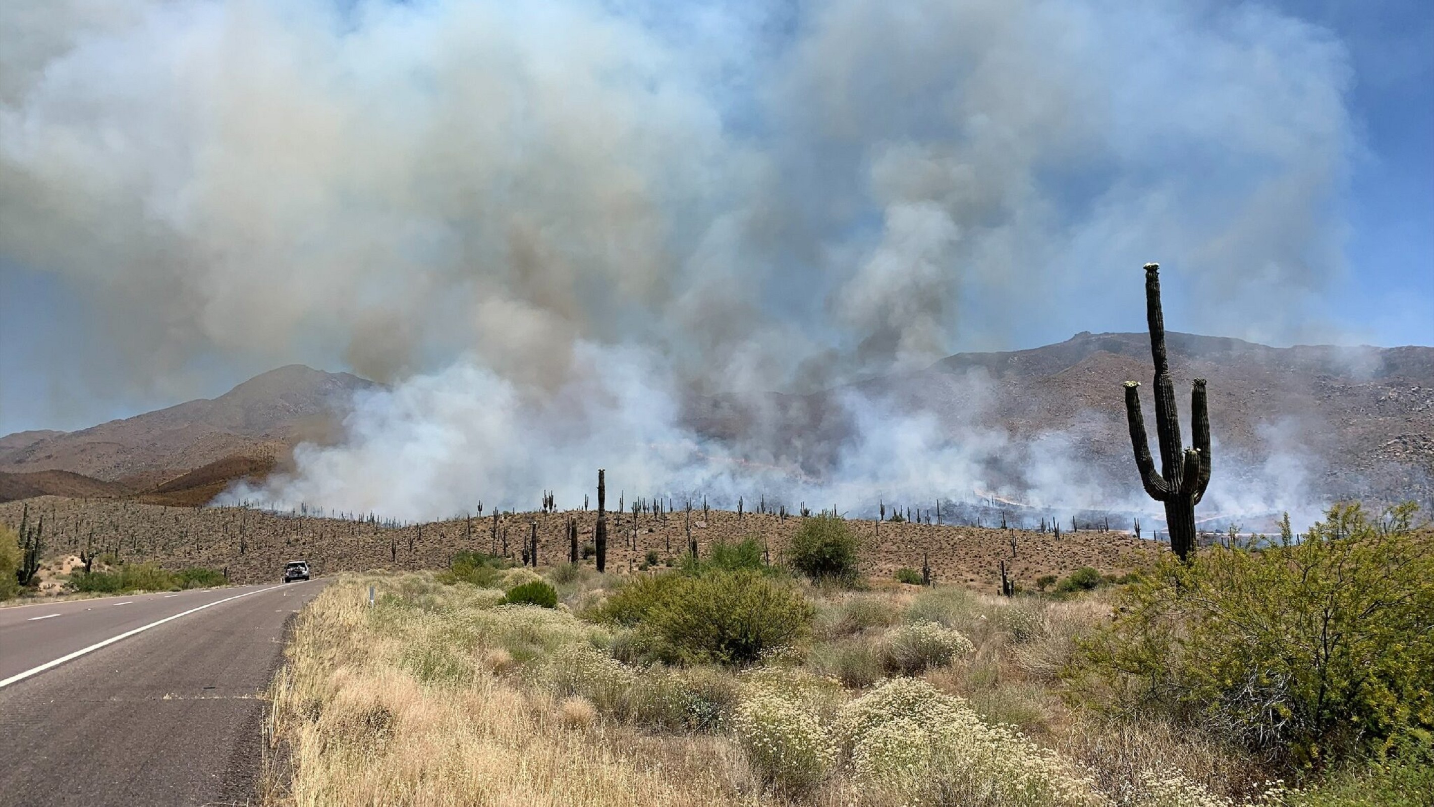 Firefighters responding to wildfire north of Phoenix near SR-87
