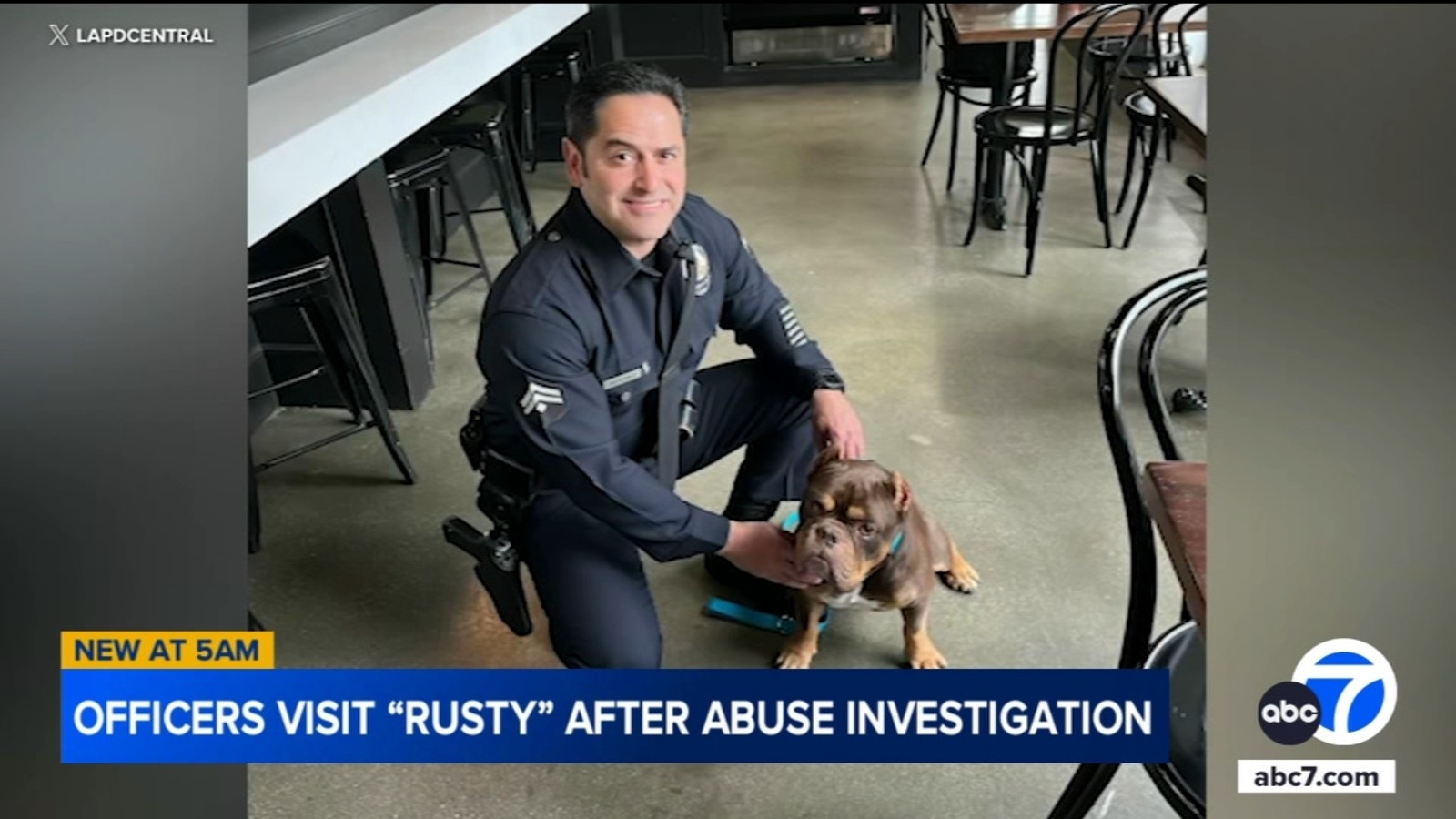 LAPD officers visit dog rescued after disturbing video triggered animal cruelty investigation