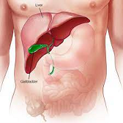 Discover the Benefits of Gallbladder Stone Surgery in Dubai and Live Pain-Free