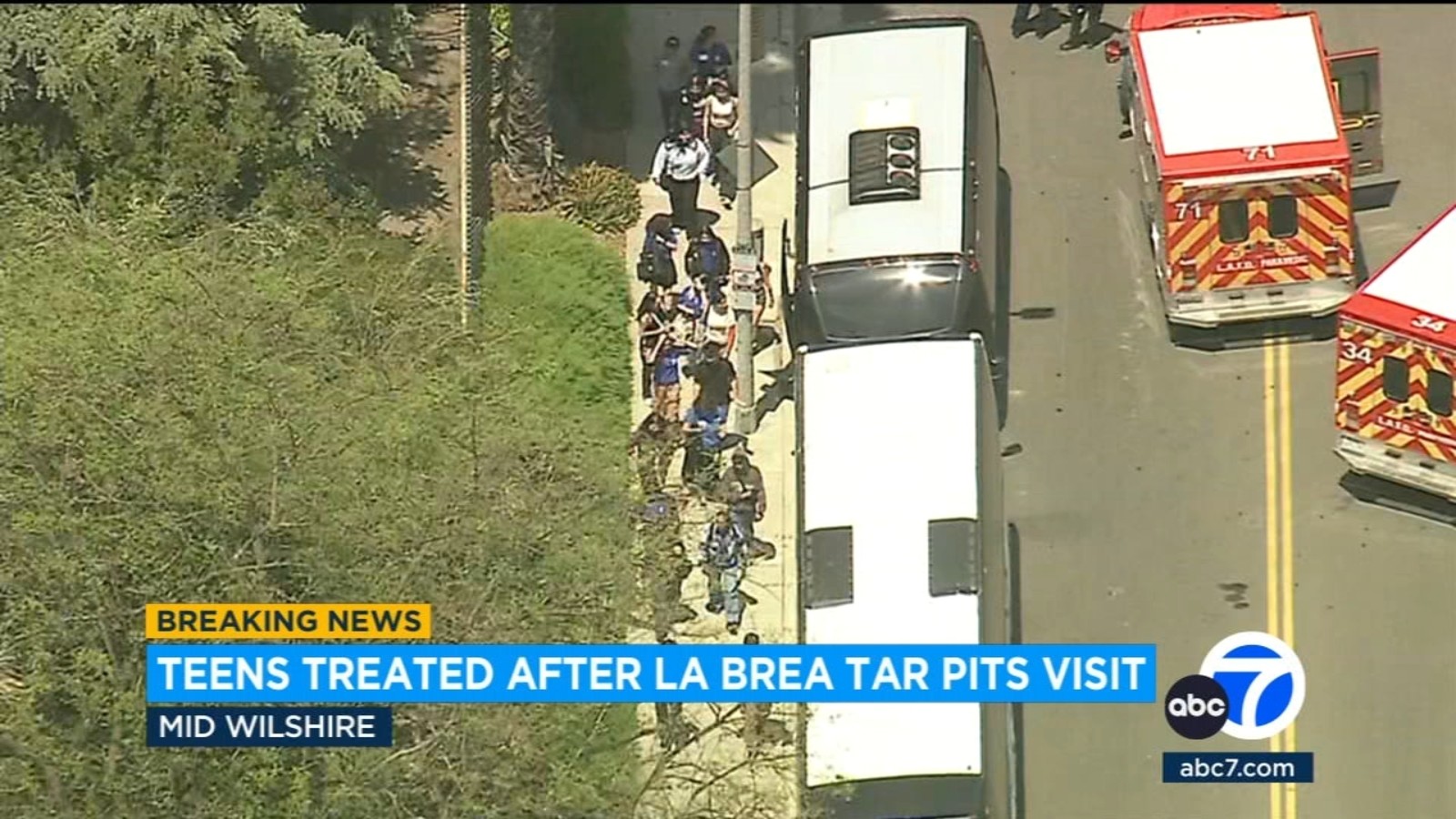 8 students hospitalized after ingesting marijuana edibles during field trip to La Brea Tar Pits