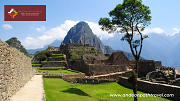 Discover the Majesty of the Short Inca