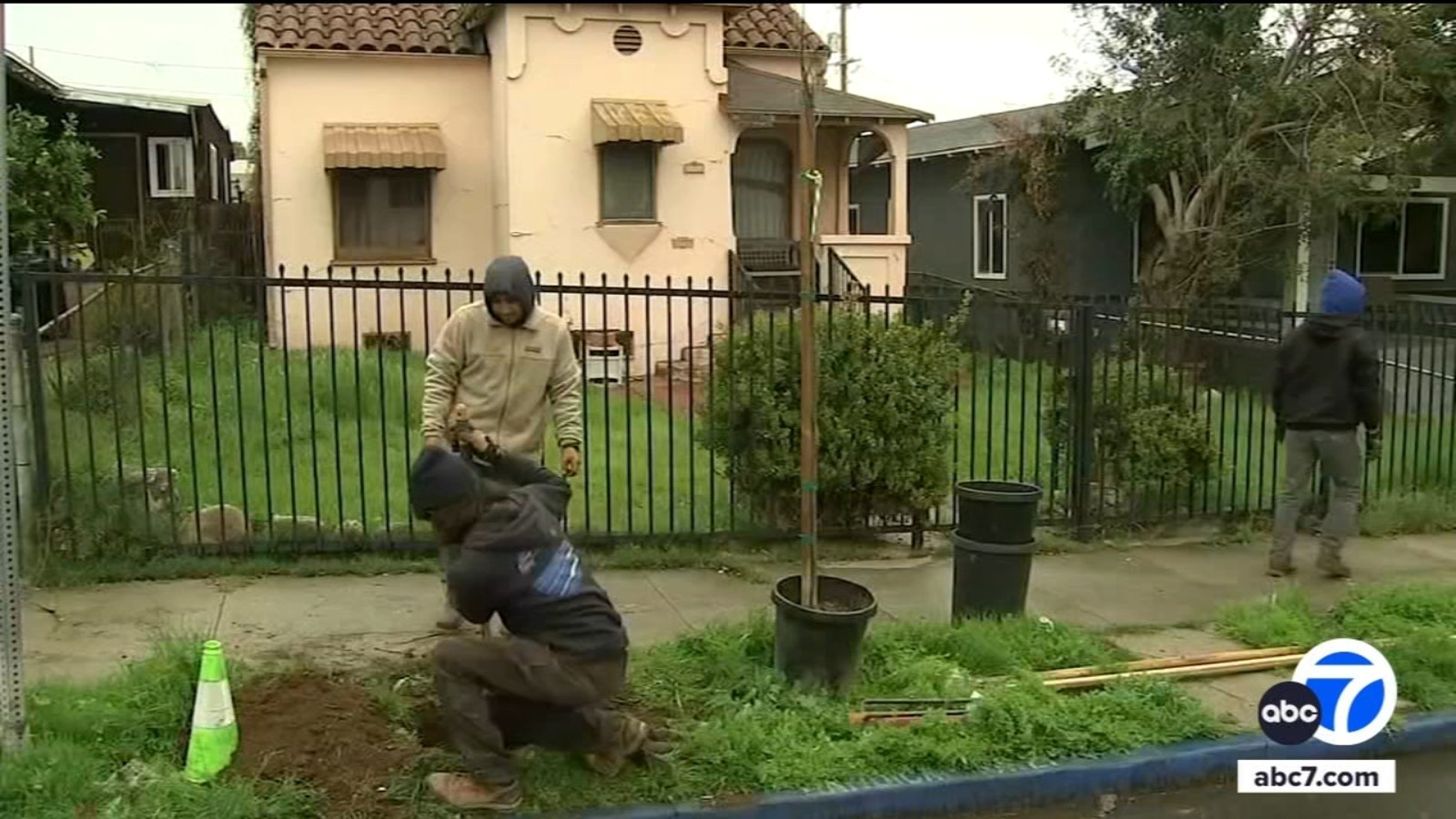 LA nonprofit that plants trees in underserved communities is set to lose $1.5 million amid DOGE cuts