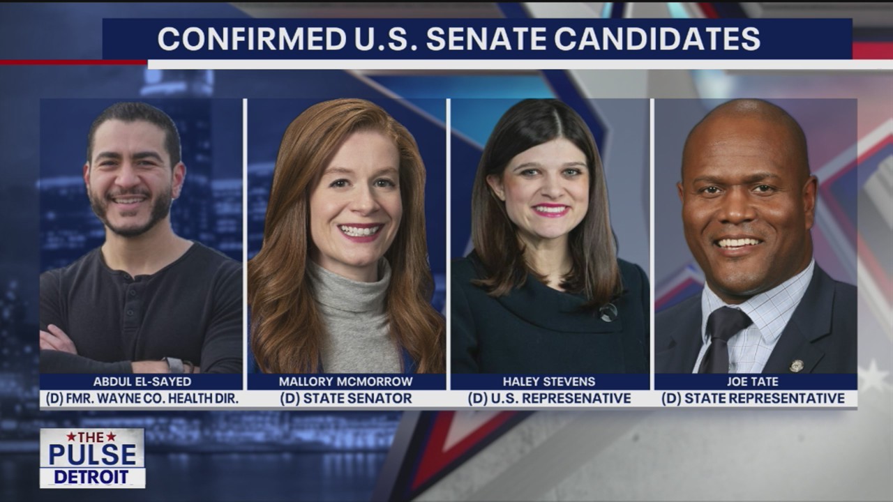 Birthright citizenship battle & Tate on Senate run 