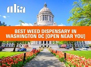 The Ultimate Weed Gift Store Experience in DC