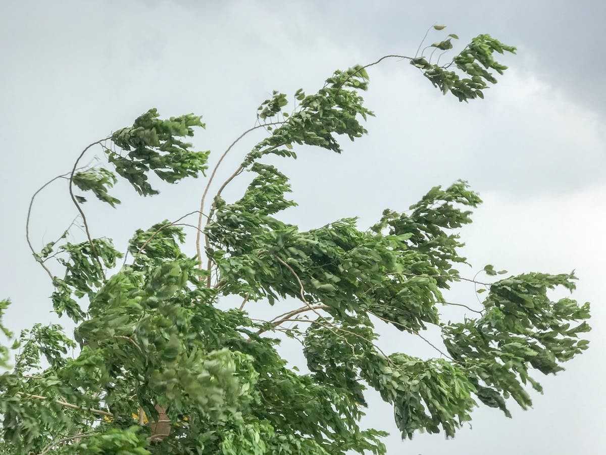 Spring-Like Temperatures, Wind Gusts In New Hampshire