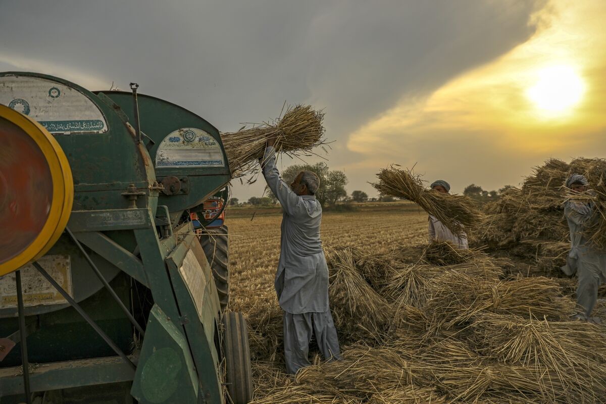 IMF Says Making Progress on Pakistan Review, New Climate Loan