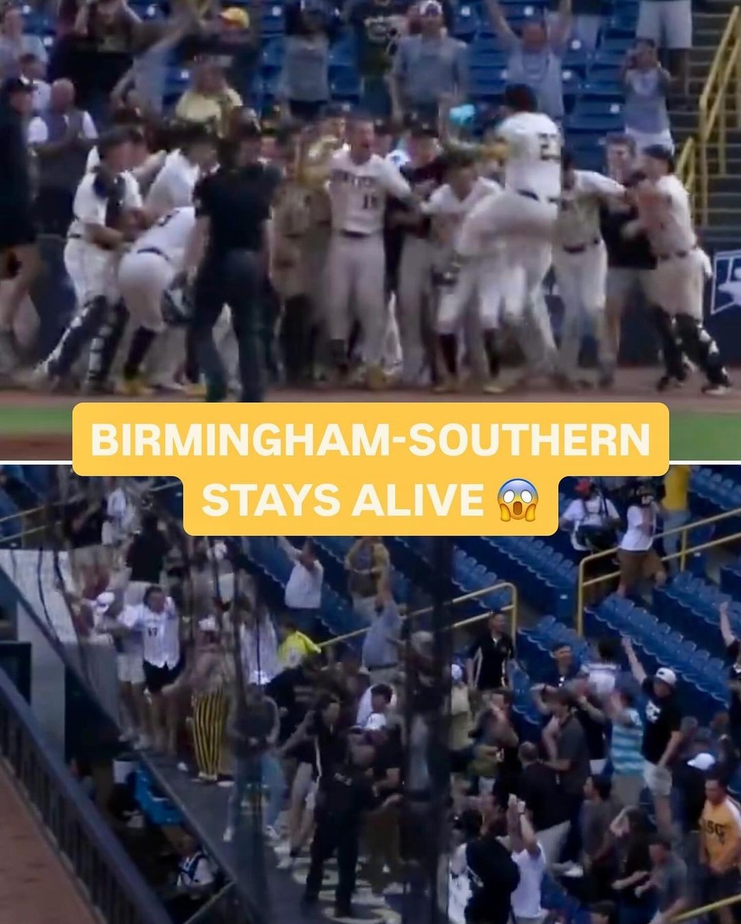 Birmingham-Southern hits a walk-off home run to stay alive in the Division III College World Series ??

On Friday, the s...