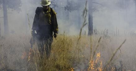 City conducts prescribed burns on Observatory Mesa this week