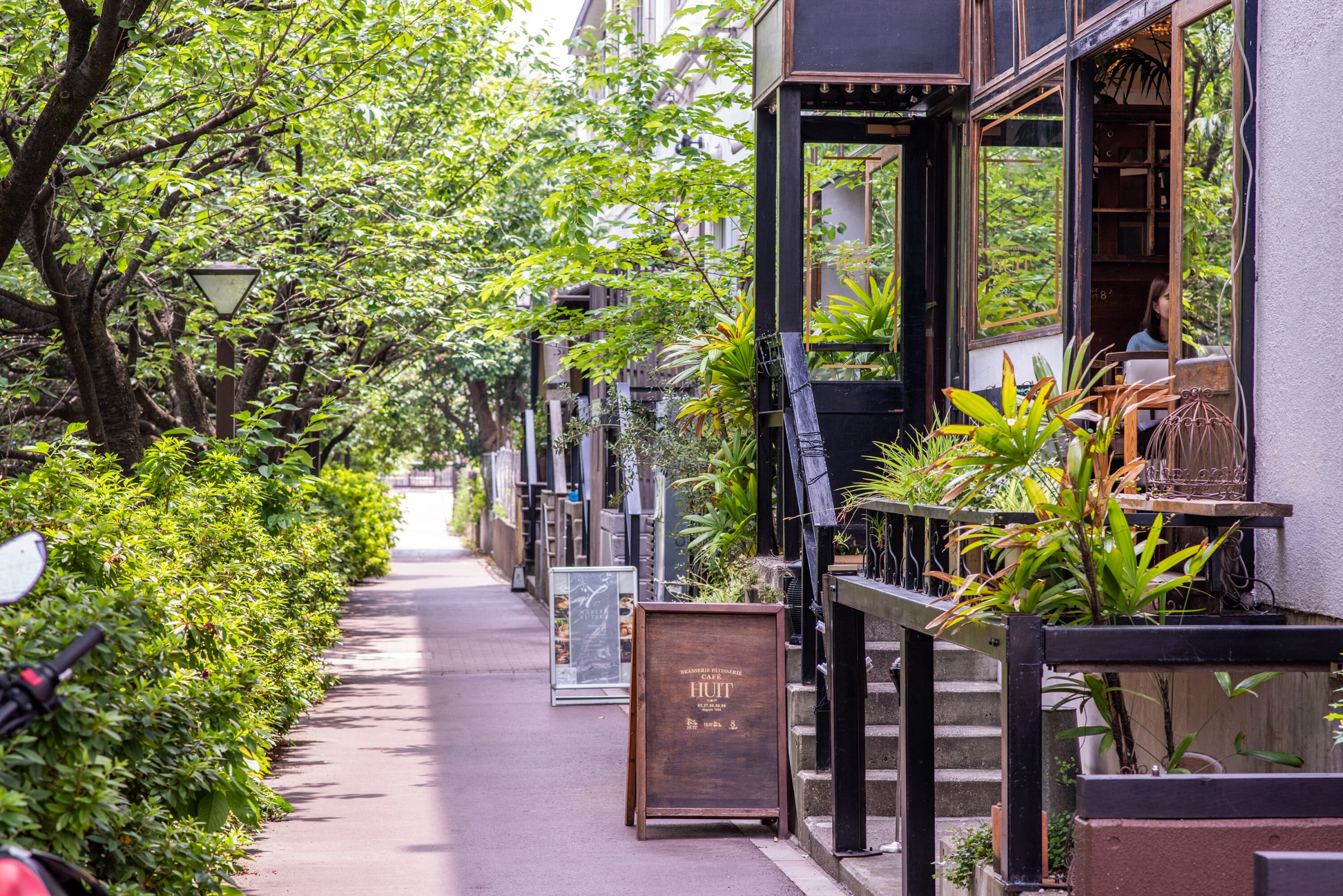 What To Do in Nakameguro: Tokyo’s Stylish Canal-Side Gem