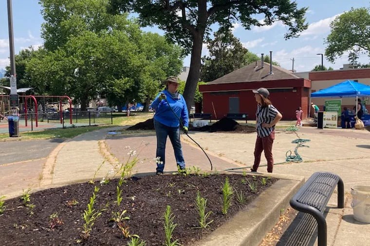 A Southwest Philly park has been recognized for its volunteer-led native plant project