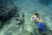 n Unforgettable Snorkeling Excursion in St. Maarten with Sail the Phoenix