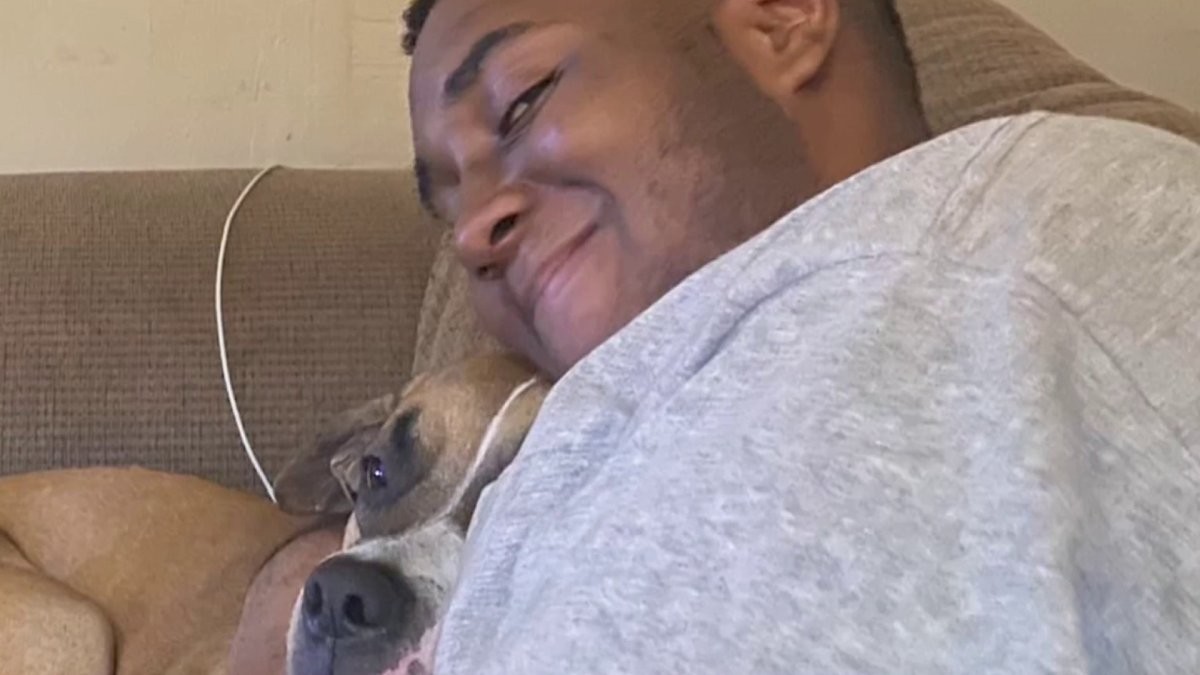 ‘Degraded cable' contributed to apparent electrocution deaths of 2 DC dogs, Pepco says