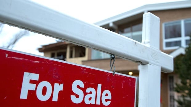 Home sellers hid foundation cracks with storage containers, buyers' lawsuit alleges 