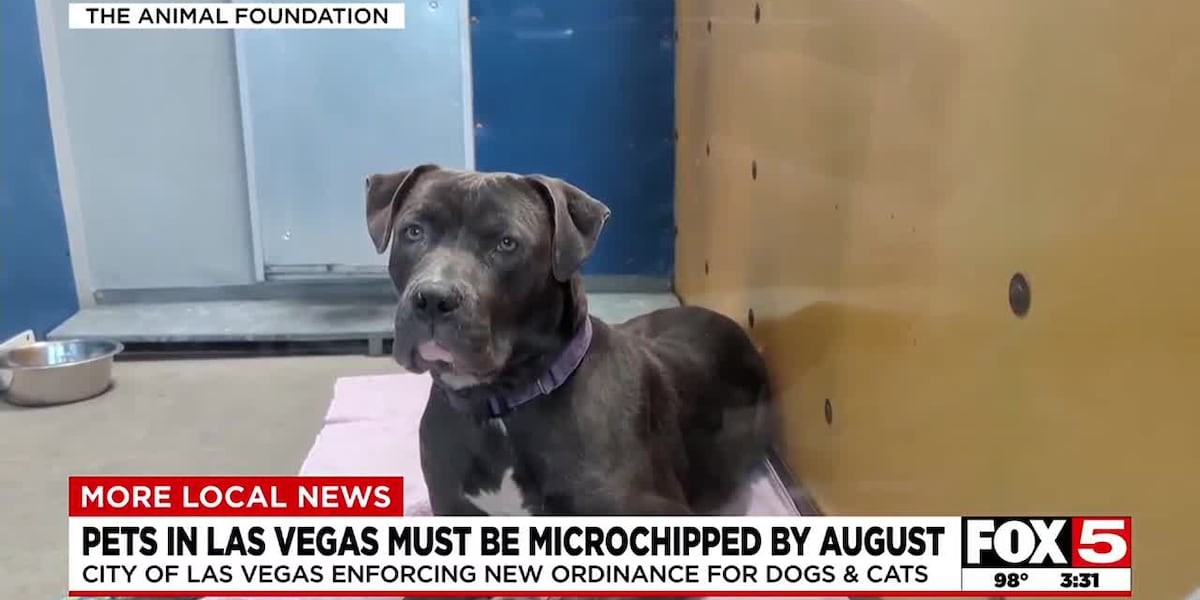Pets in Las Vegas must be microchipped by August