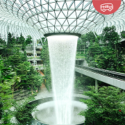 Discover Exciting Events in Singapore and Book Your Bus Tickets Online