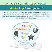 What is This Thing Called Flutter Mobile App Development?