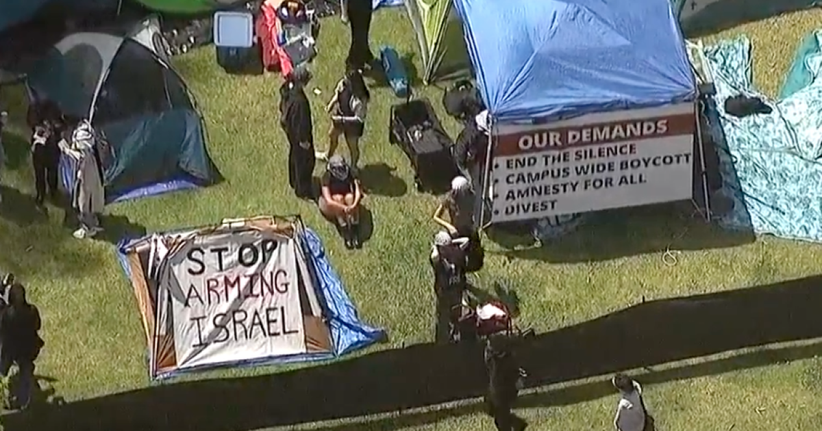 UCSD students establish pro-Palestine encampment on campus