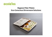 Bagasse Fiber Plates: Eco-Conscious Dinnerware Solutions