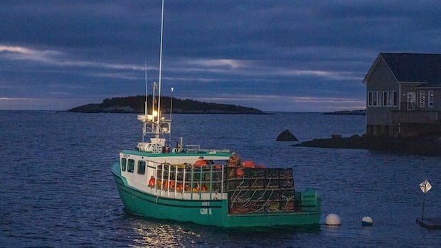 Atlantic Canada's lobster industry stung by low prices and global economic turmoil 