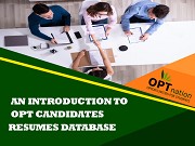 OPT Candidates Resumes Database in USA