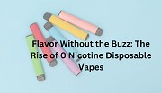 Flavor Without the Buzz: The Rise of 0 Nicotine Disposable Vapes