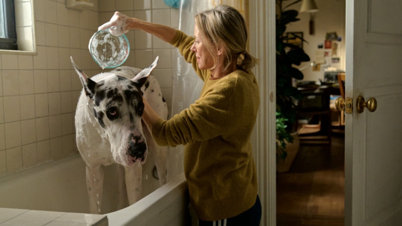 Comfort movie The Friend is a must for dog lovers