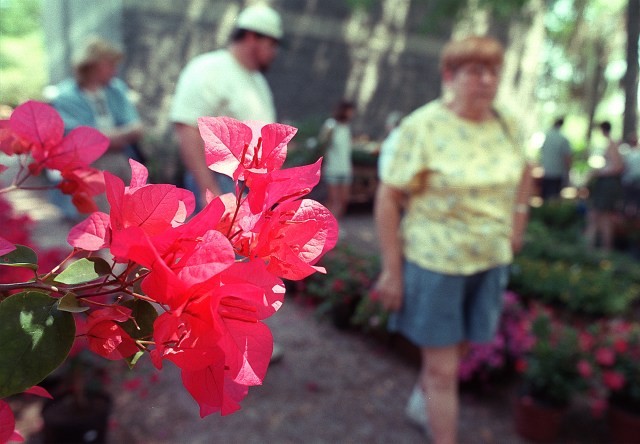 Orange County things to do, starting April 25