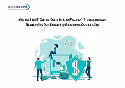 Managing IT Carve Outs in the Face of IT Insolvency: Strategies for Ensuring Business Continuity