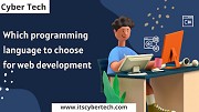 Which Programming Language to Choose for Web Development?