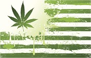 Federal Law Against Marijuana