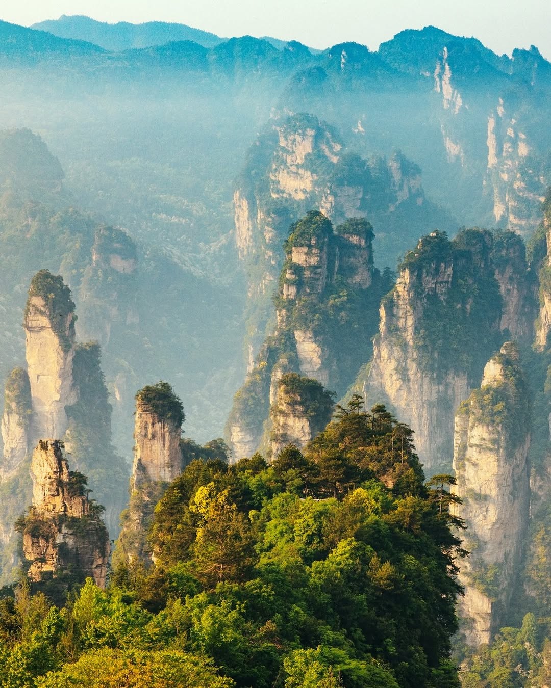 ??Zhangjiajie National Forest Park, China With over 3,000 sandstone columns, the Zhangjiajie National Forest Park has pi...