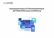 Assessing the Impact of IT Decommissioning on SAP HANA Performance and Efficiency
