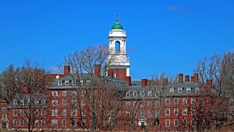 Harvard president taking voluntary pay cut amid Trump funding freezes