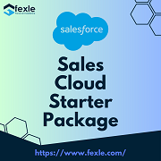 Salesforce Sales Cloud Integration Services