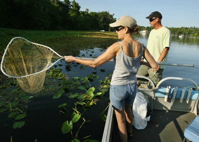 Volusia County things to do, starting Feb. 28