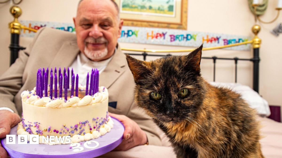 'World's oldest cat' Millie, 30, only drinks bottled water