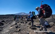 Northern Circuit Route- A Journey To Mount Kilimanjaro’s Summit