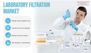 Laboratory Filtration Market is Dominated by Microfiltration 