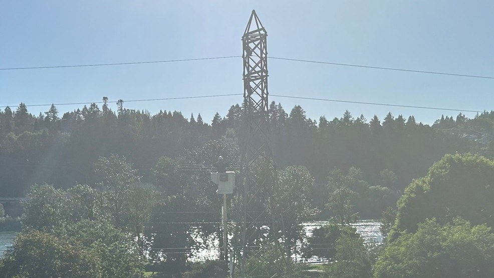 PF&R: Person climbs powerline tower to take selfie, gets electrocuted, falls 40 feet