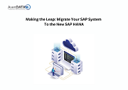 Making the Leap: Migrate Your SAP System to the New SAP HANA