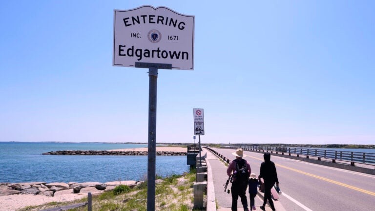Endurance swimmer to attempt first-ever swim around Martha's Vineyard ahead of 'Jaws' anniversary